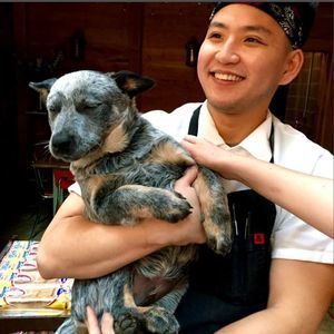 Meet your Posher, Janny